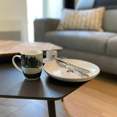 公寓 Plein Centre, T3 5p Totalement Renove 55m2. Wifi